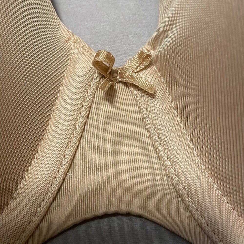 Cacique Bra - image 4